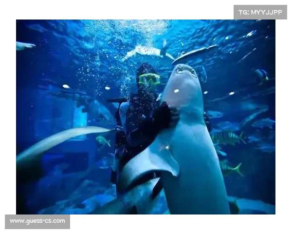 美人鱼运动催生水下求婚热 户外婚礼预订量激增